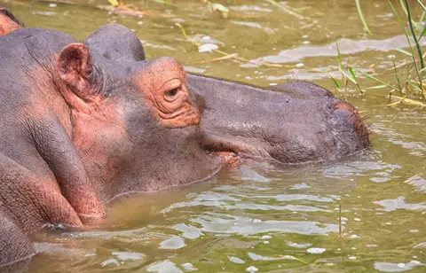 Botswana_Drotzkys_129.jpg
