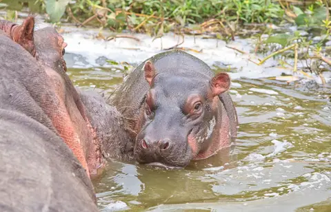 Botswana_Drotzkys_142.jpg