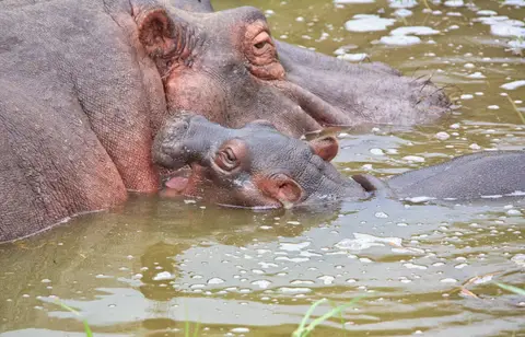 Botswana_Drotzkys_143.jpg