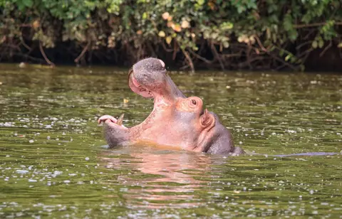 Botswana_Drotzkys_145.jpg