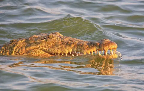 Botswana_Drotzkys_193.jpg