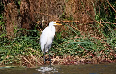 Botswana_Drotzkys_228.jpg