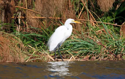 Botswana_Drotzkys_230.jpg