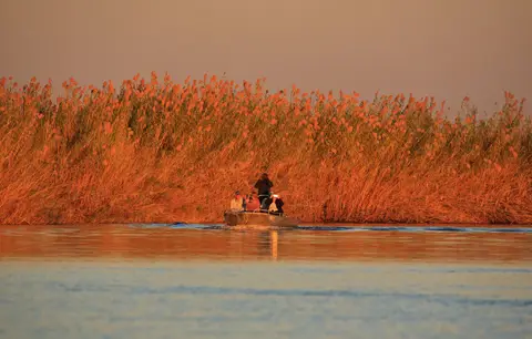 Botswana_Drotzkys_283.jpg