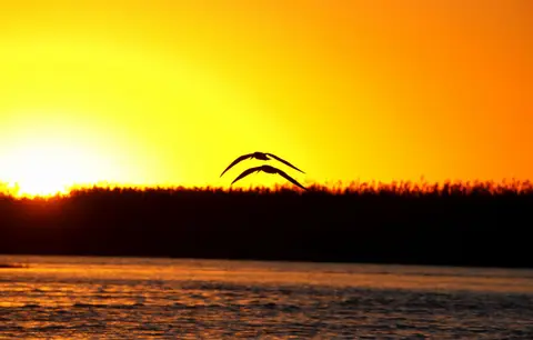 Botswana_Drotzkys_286.jpg