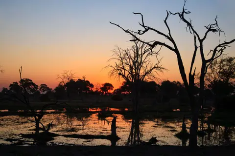 Botswana_Khwai_105.jpg