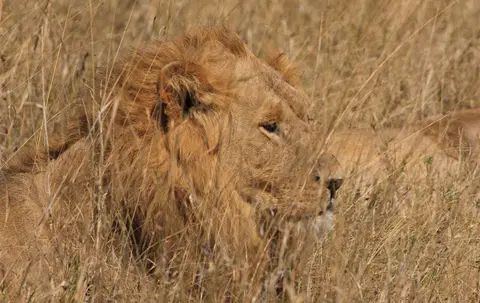 Botswana_Moremi_116.jpg