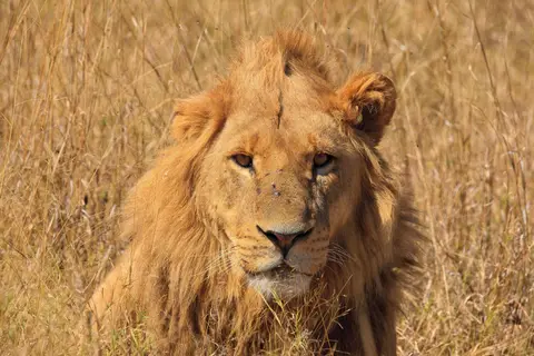 Botswana_Moremi_120.jpg