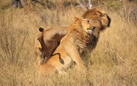 Botswana_Moremi_123.jpg