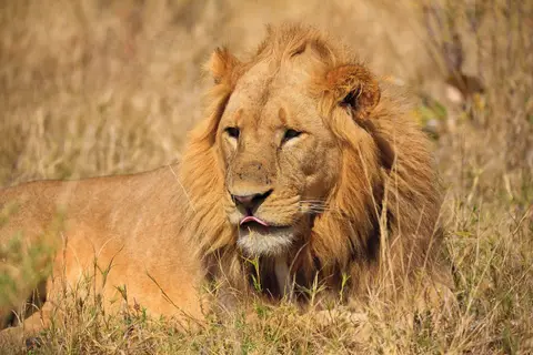 Botswana_Moremi_125.jpg