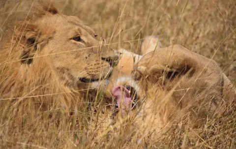 Botswana_Moremi_129.jpg