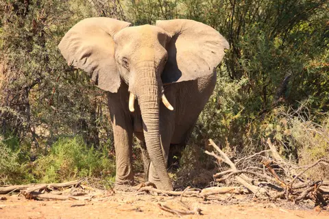 Namibia_Damaraland_030.jpg