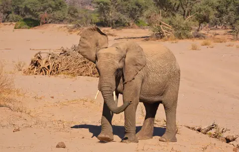 Namibia_Damaraland_032.jpg