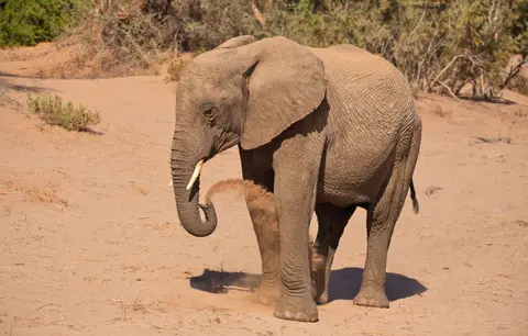 Namibia_Damaraland_043.jpg