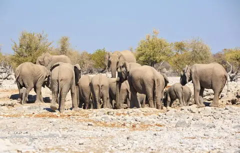 Namibia_Etosha_016.jpg