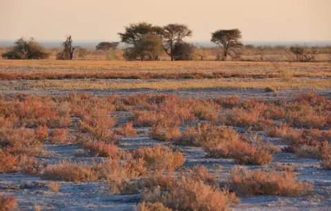 Namibia_Etosha_179.jpg