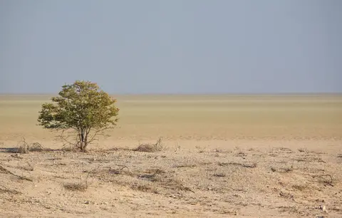 Namibia_Etosha_192.jpg