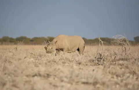 Namibia_Etosha_194.jpg