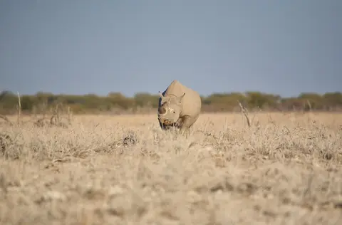 Namibia_Etosha_195.jpg