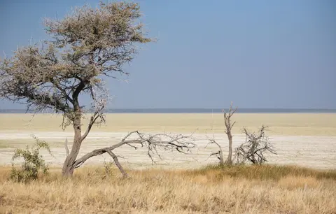 Namibia_Etosha_213.jpg