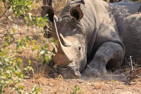 Namibia_Etosha_237.jpg