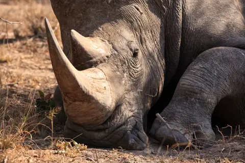 Namibia_Etosha_238.jpg