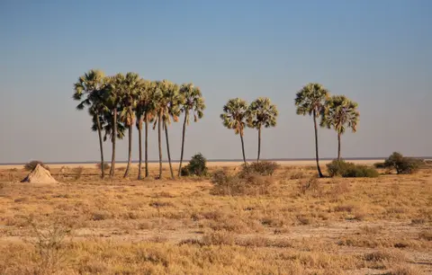 Namibia_Etosha_399.jpg