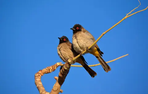 Namibia_Grootberglodge_25.jpg