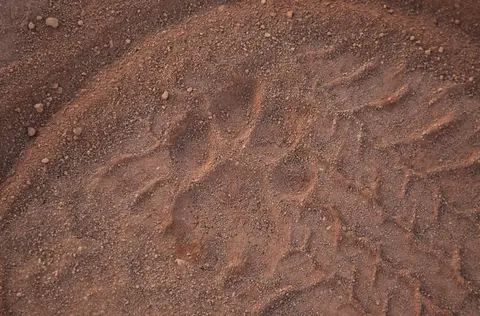 Namibia_Grootberglodge_32.jpg