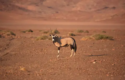 Namibia_Hoarusib_002.jpg