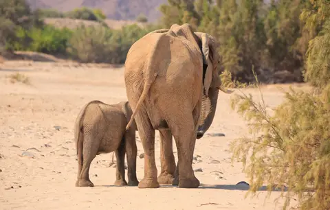 Namibia_Hoarusib_011.jpg