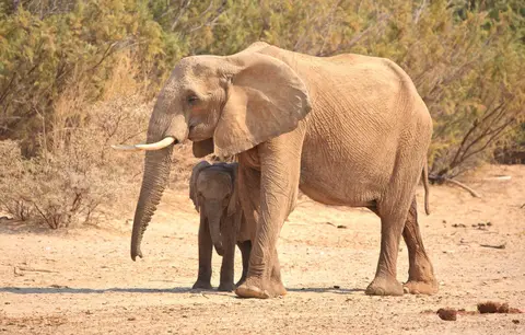 Namibia_Hoarusib_015.jpg