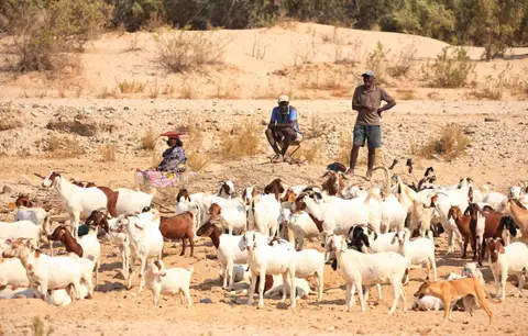 Namibia_Hoarusib_025.jpg