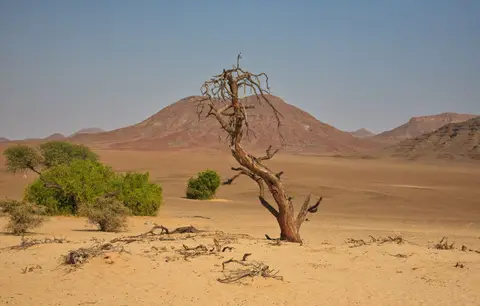 Namibia_Hoarusib_028.jpg