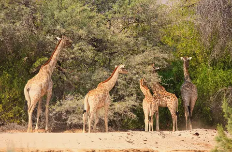 Namibia_Hoarusib_085.jpg