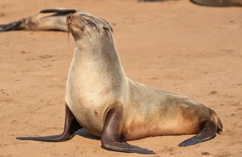 Namibia_Kreuzkapp_022.jpg