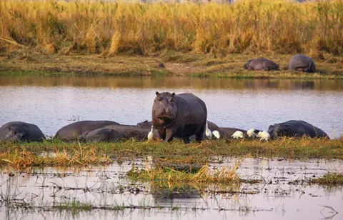 Namibia_Mahango_020.jpg