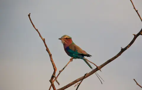 Namibia_Okavango_045.jpg