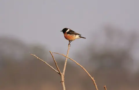 Namibia_Okavango_050.jpg