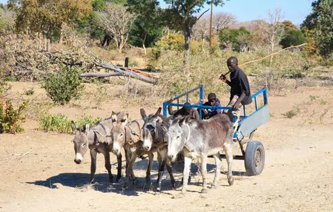 Namibia_Okavango_062.jpg