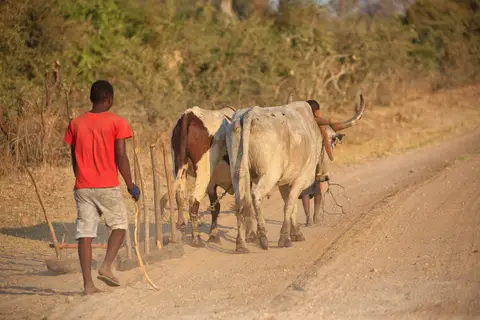 Namibia_Okavango_069.jpg