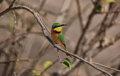 Namibia_Okavango_094.jpg