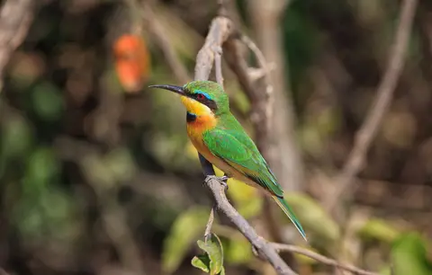 Namibia_Okavango_095.jpg