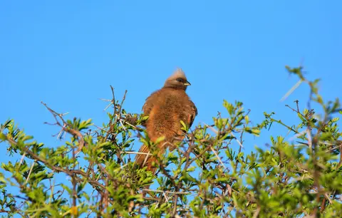 Namibia_Purros_36.jpg