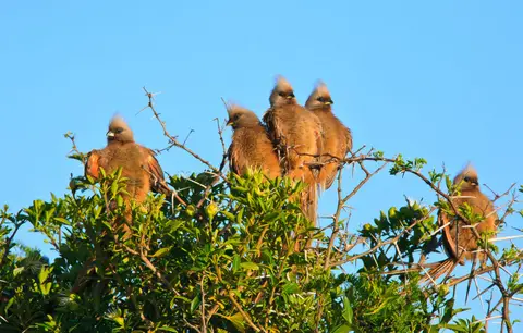 Namibia_Purros_37.jpg