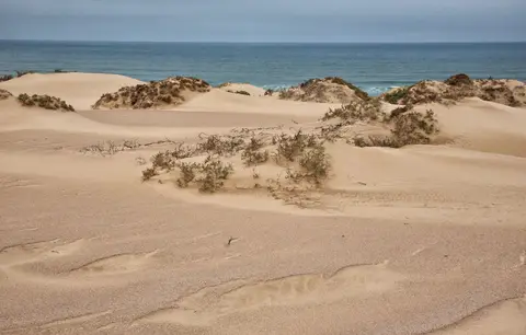 Namibia_Skelettküste_043.jpg