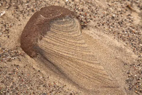Namibia_Skelettküste_048.jpg