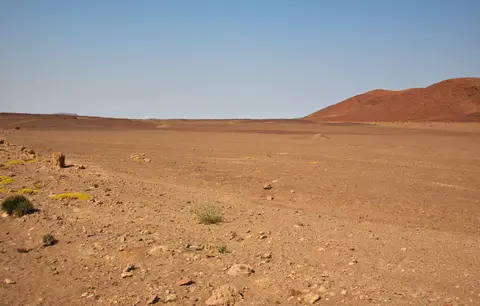 Namibia_Skelettküste_208.jpg