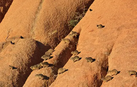 Namibia_Spitzkoppe_128.jpg