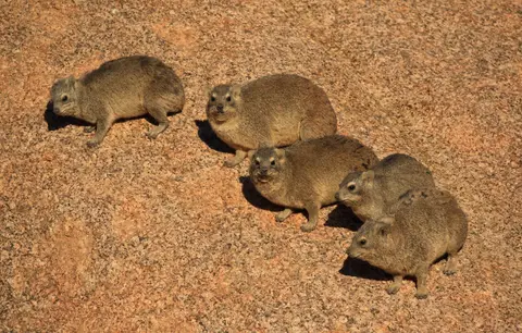 Namibia_Spitzkoppe_130.jpg